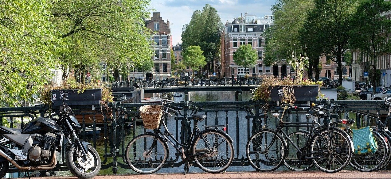 why should I study in Amsterdam